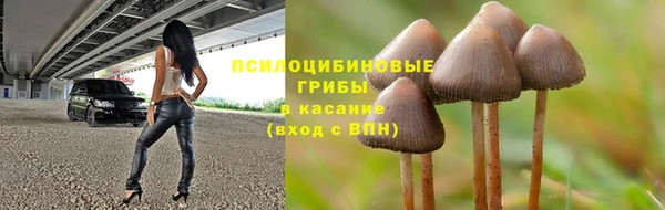 эйфоретик Магас