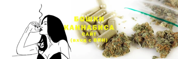 эйфоретик Магас