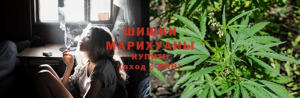 спиды Майский