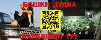 сатива Бузулук