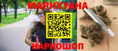 сатива Бузулук
