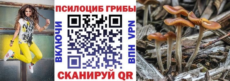 OMG рабочий сайт Тавда Псилоцибиновые грибы Psilocybe