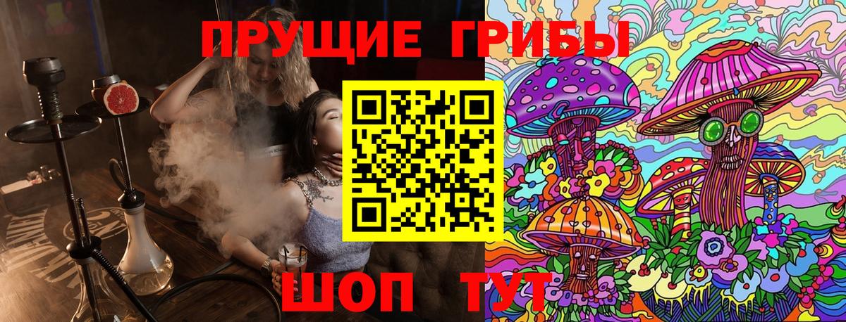 Псилоцибиновые грибы мицелий  Псилоцибиновые грибы Cubensis  Тавда 