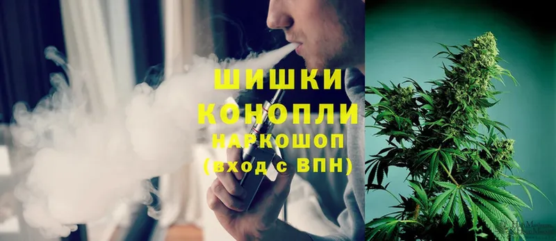 наркотики  Тавда  Бошки Шишки Ganja 