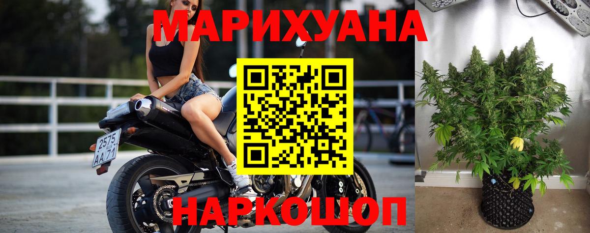 Канабис ГИДРОПОН Тавда